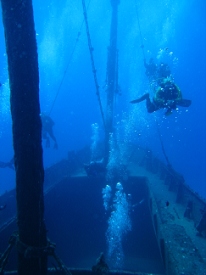 Diving around Maui